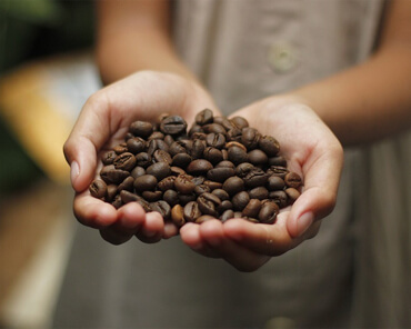 Quelle quantité de caféine dans un grain de café ?
